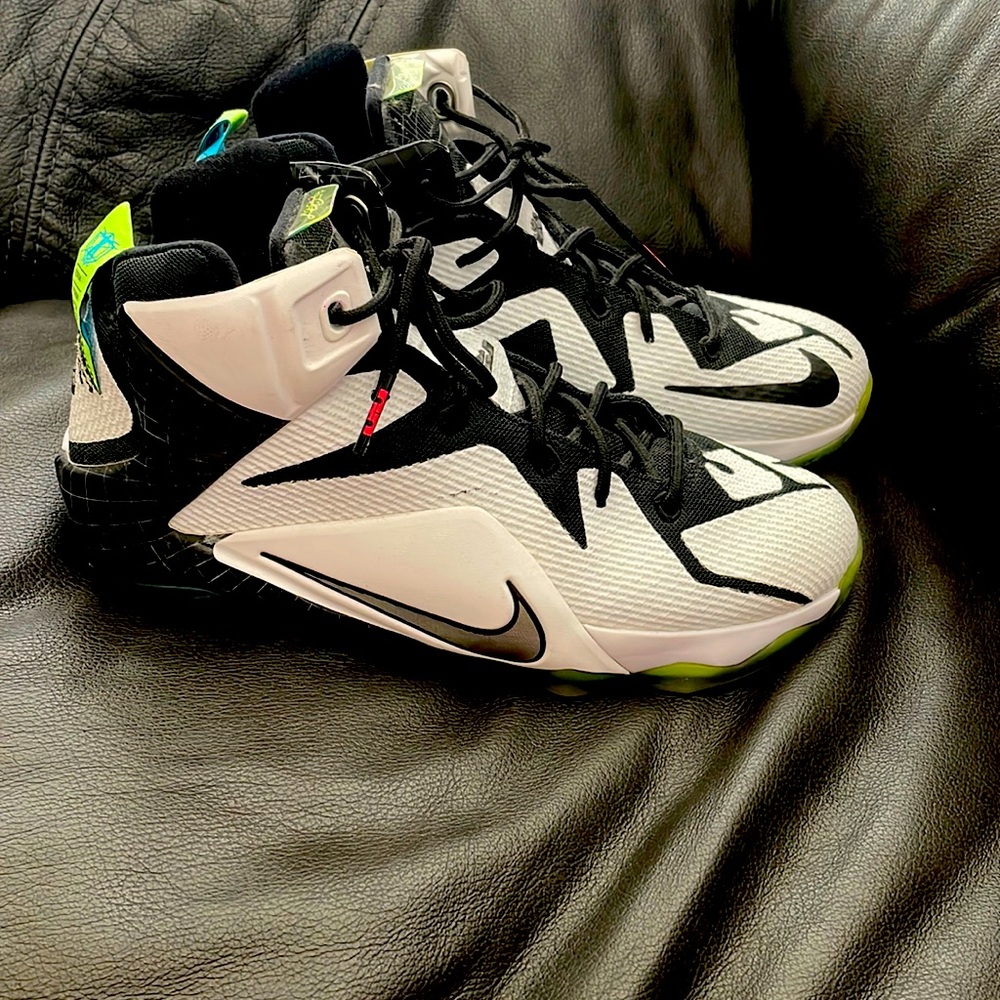 Nike LeBron shoes